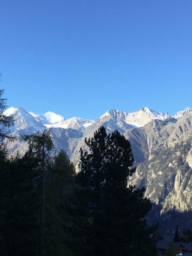 Haus Gentiana A Daire Grächen Dış mekan fotoğraf